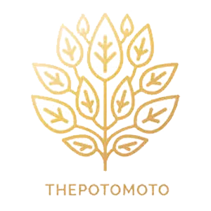 Thepotomoto
